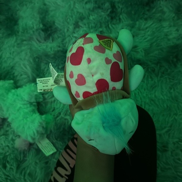 Turtle - Picture 4 of 8